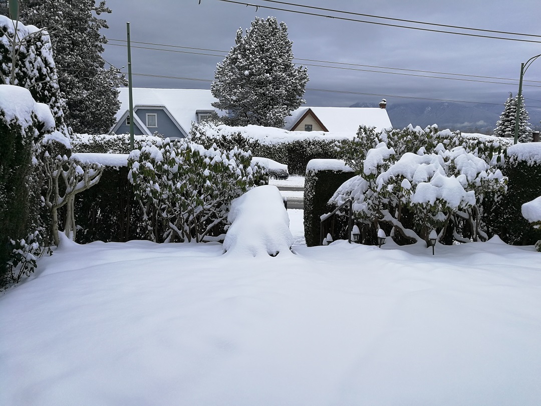 2020-溫哥華-雪景